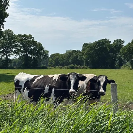 Viebenhof - Swienhuck * Aurich